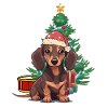 Julegaver hund gravhund Xmas Nikolaus