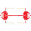 No Pain No Gain