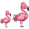 Flamingo Comic