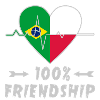 Brazil and Poland 100% friendship