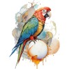 Perroquet Aquarelle