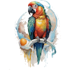 Perroquet Aquarelle