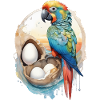 Perroquet Aquarelle