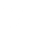 Crâne de gorille blanc