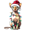 Sphynx Cat Christmas Hat Xmas