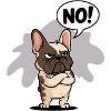 French Bulldog saying "No!