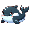 killer whale