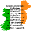Irish constitution support