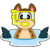 Plongeon de plongée de suricate plongeon de nage