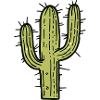 Cactus Illustration