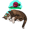 Cat s dream