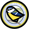 Bluetit