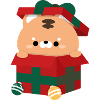 Tiger Christmas Present