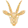 Antelope Geometric