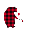 Mother Bear