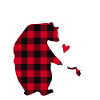 Dada Bear
