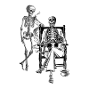 Skeleton