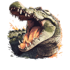 Crocodiles Crocodile