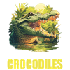 Krokodile Krokodil