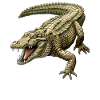 Crocodiles Crocodile