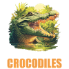 Crocodiles Crocodile