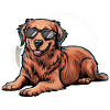 Flat Coated Retriever with Sunglasses