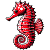 Hippocampe