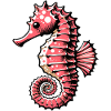 Hippocampe