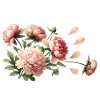 Romantic pink peonies