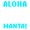 Mantarochen Großer Manta Meeresbewohner