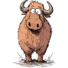 Funny bison