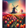 Tulip farm in Amsterdam Netherlands
