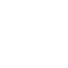 Puli