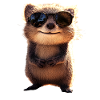 Quokka Be Quokka Happy Australia Smile Quokkas