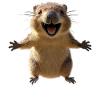 Quokka Be Quokka Happy Australia Sorriso Quokkas