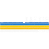 Vintage Retro Kharkiv Ukraine Heritage Pride