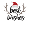 Meilleurs voeux de Noël style