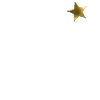 Officer Badge Style