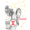 Gemini