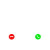 Badminton Shuttlecock