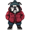 Bulldog Dog Fashion Winter