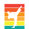 Taekwondo