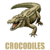 Crocodiles Crocodile