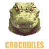 Crocodiles Crocodile