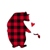Grandma Bear
