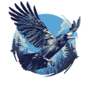 Crows Crow