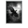 Crows Crow