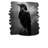 Crows Crow