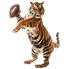 Bengal Tiger Football