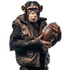 Chimpanzee Football